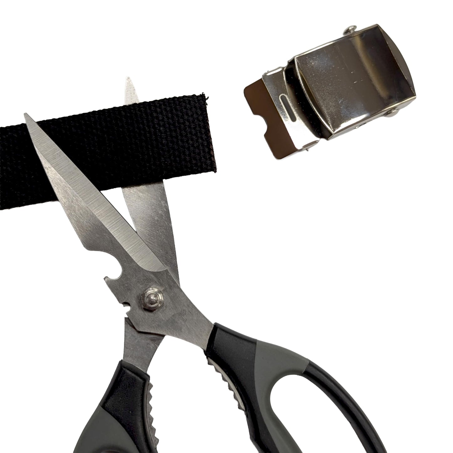 Canvas Web Belt - Chrome Buckle (Black)